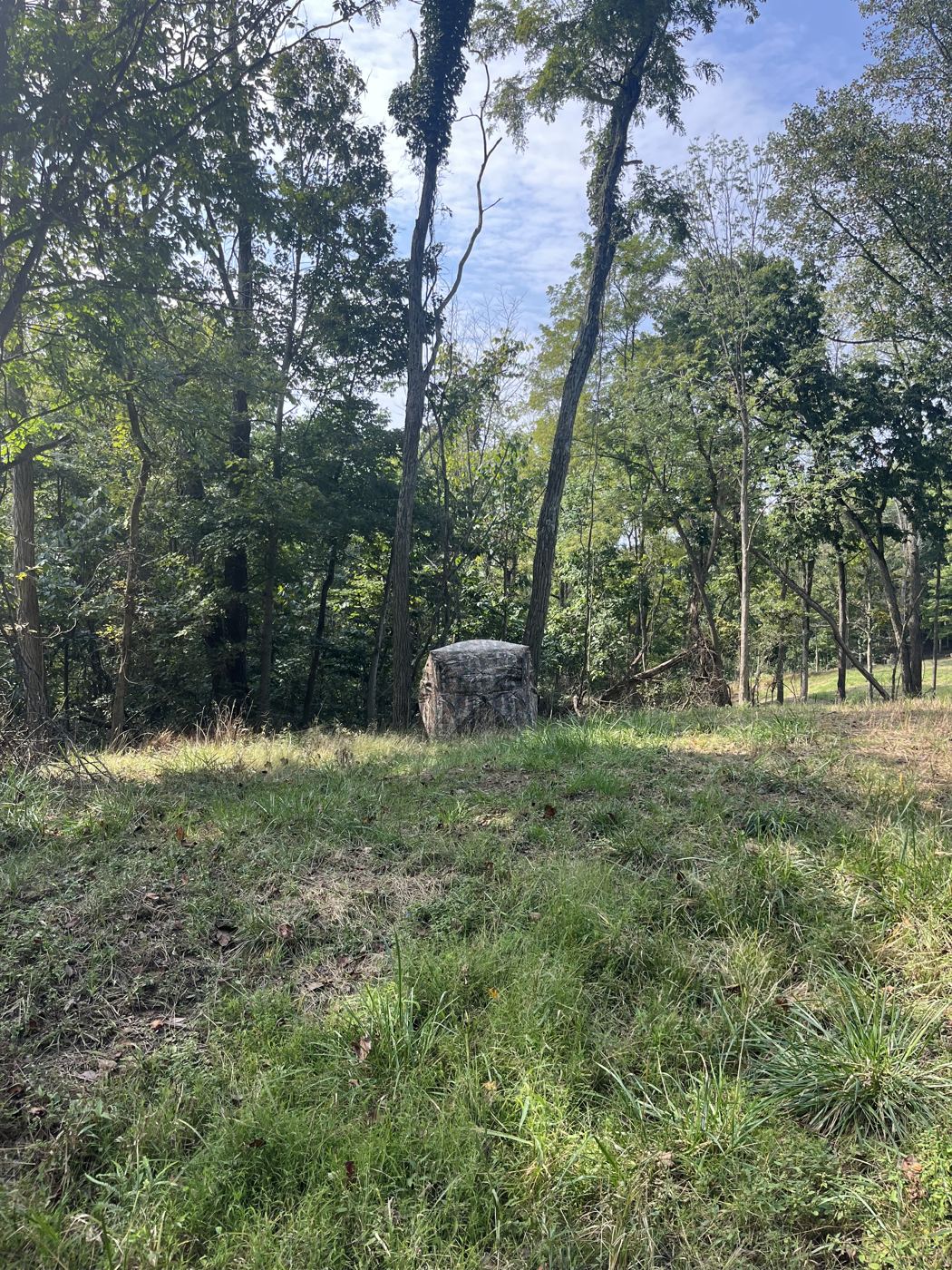Camouflage box blind set at the edge of a clearing on the property